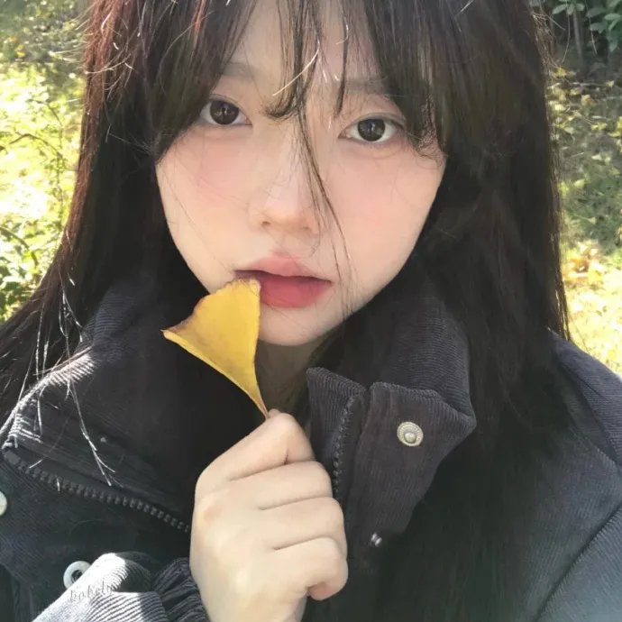 鸡同鸭讲
